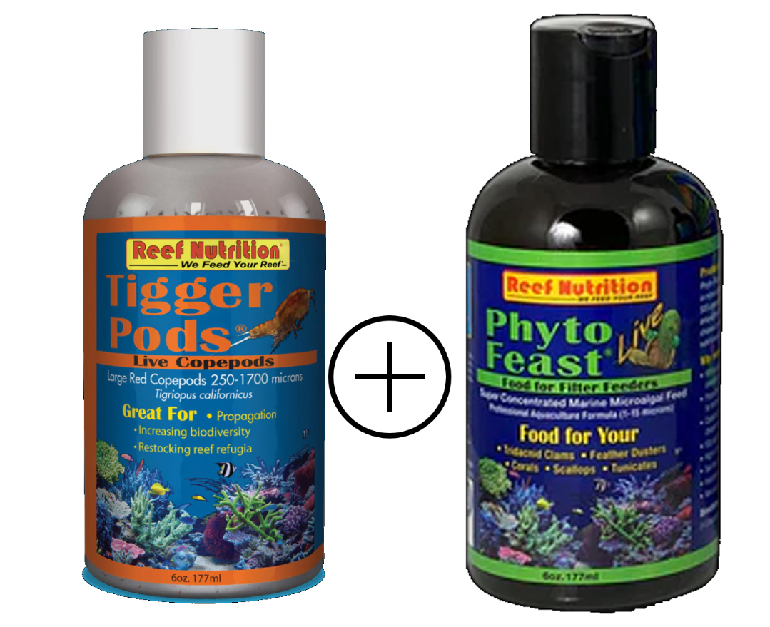 Live Phyto + Copepods COMBO Pack