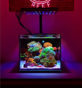 Cube Nano Reef Tank *wholesale*