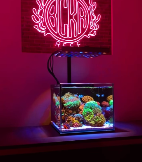 Cube Nano Reef Tank Mark II