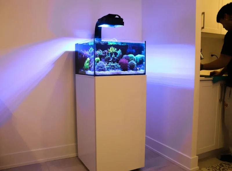 xLaguna 24 Gallon All In One Aquarium *wholesale*