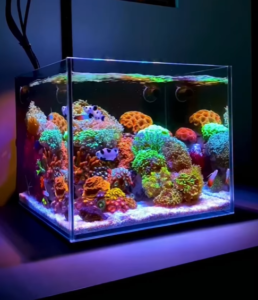 Cube Nano Reef Tank *wholesale*