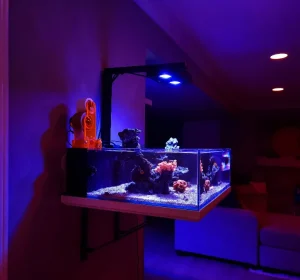Tide Shallow Aquarium – Mark III