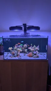 Laguna 24 Gallon All In One Saltwater Aquarium Kit [Manta Led] *wholesale* NO ROCK