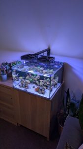 Laguna All In One Saltwater Aquarium Kit