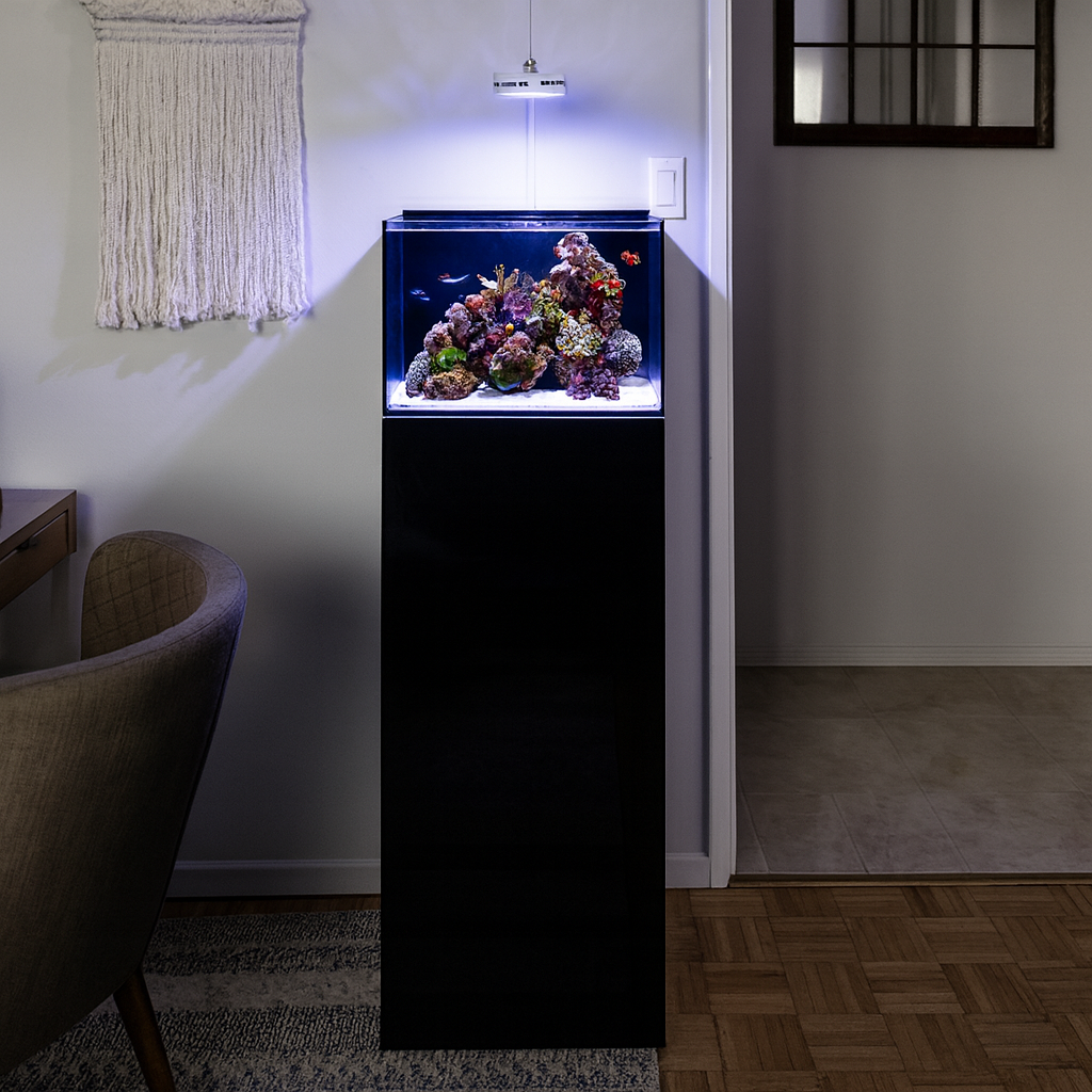 Cube Shadow Master Edition