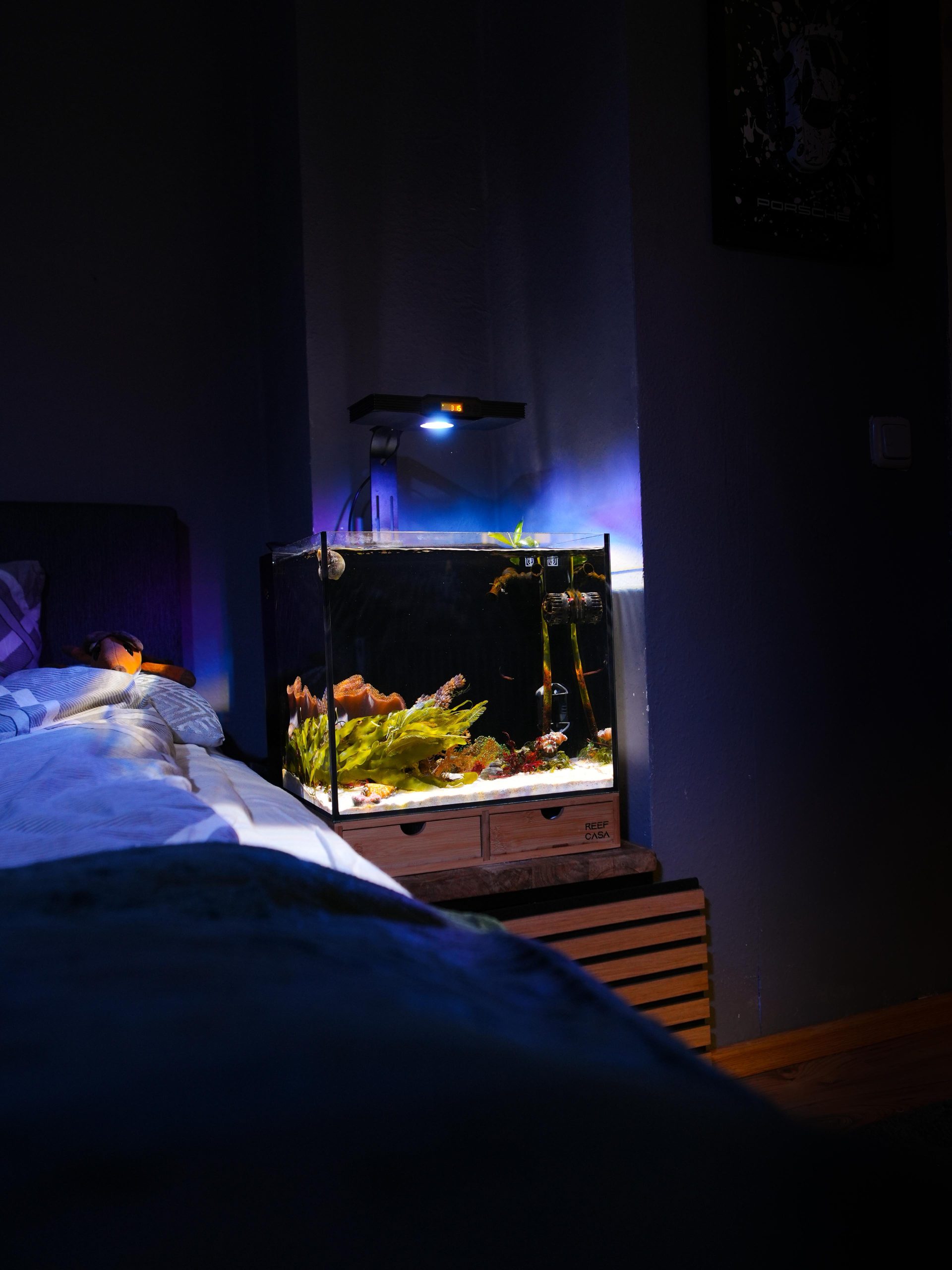 Cube Nano Reef Tank Mark II