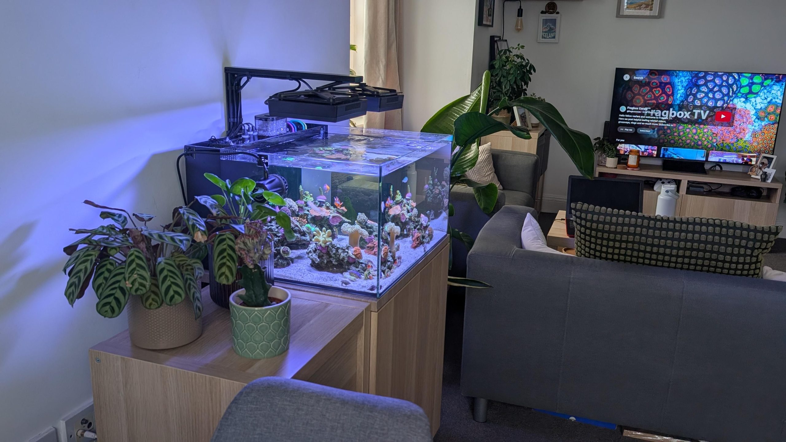 Laguna All In One Aquarium Mark II
