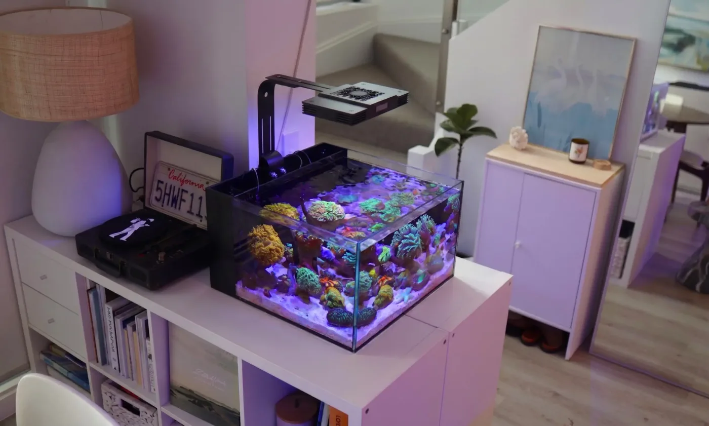 Laguna All In One Aquarium Mark III