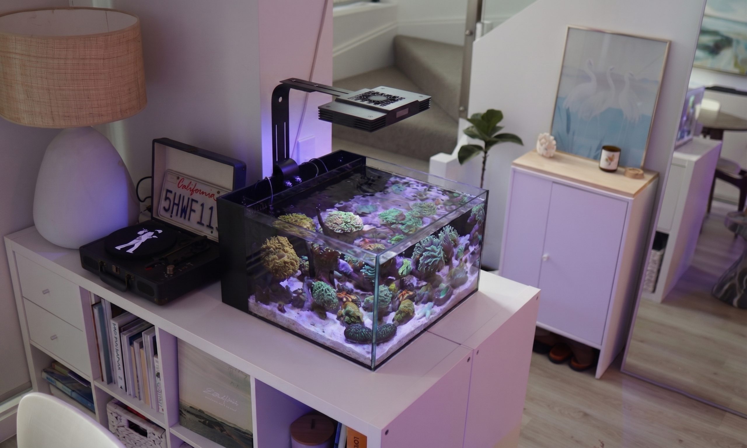 Laguna All In One Aquarium Mark II