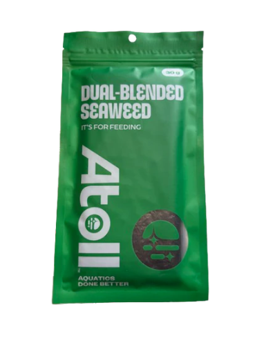 Tangalicious – Tang Diet Dual Blended Nori