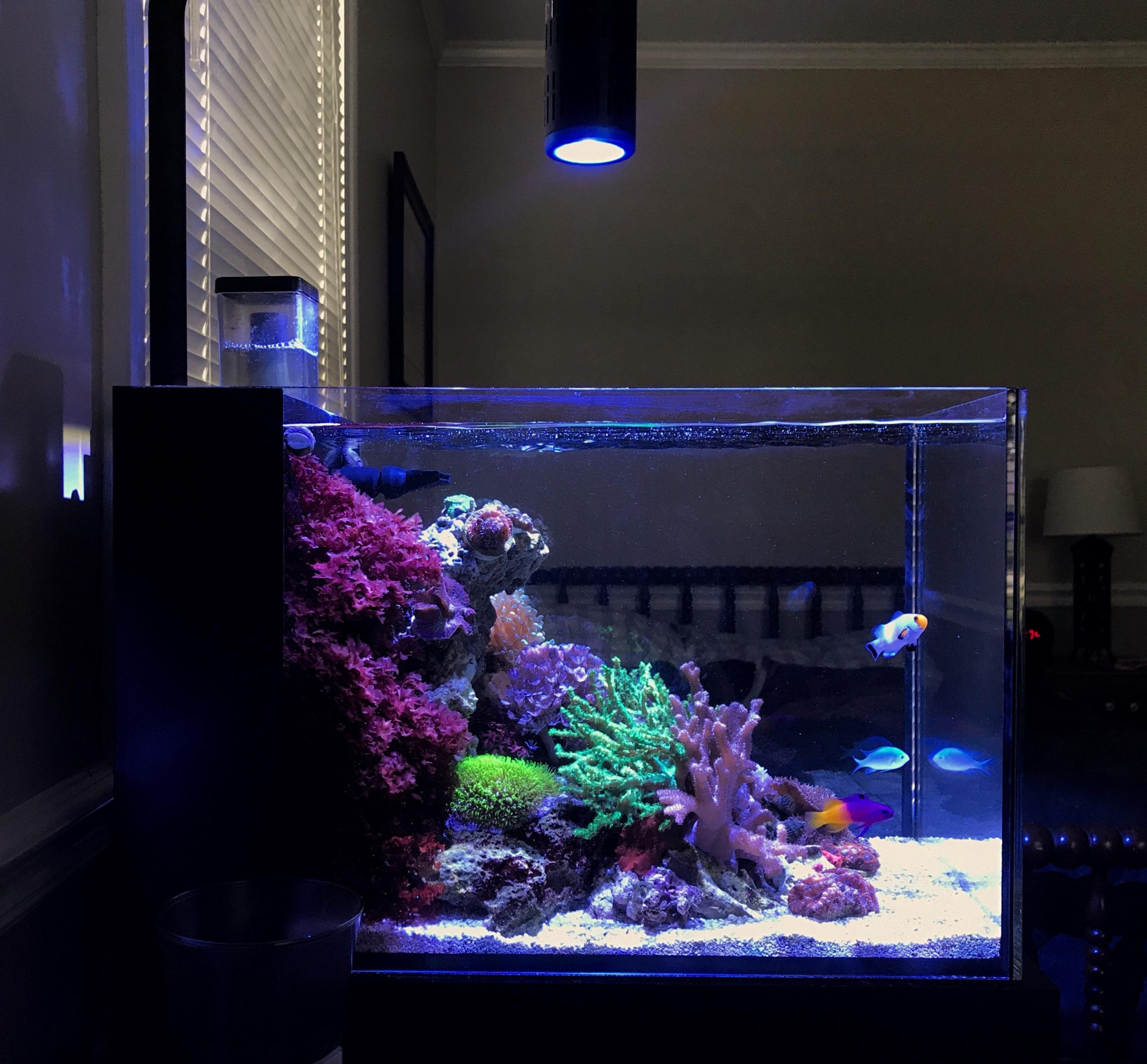 Reef Casa Isla Complete Saltwater Kit *on sale*
