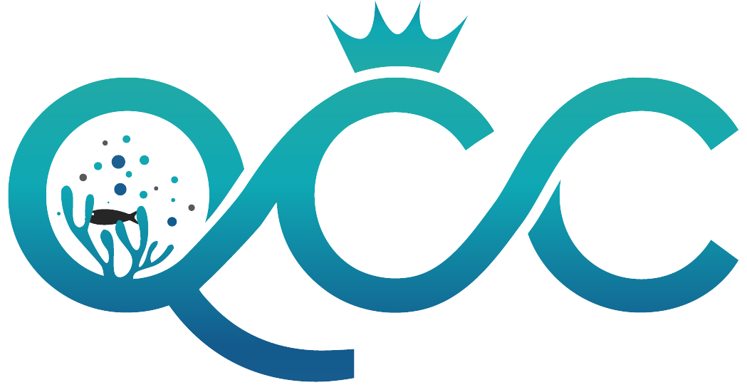 queen city corals
