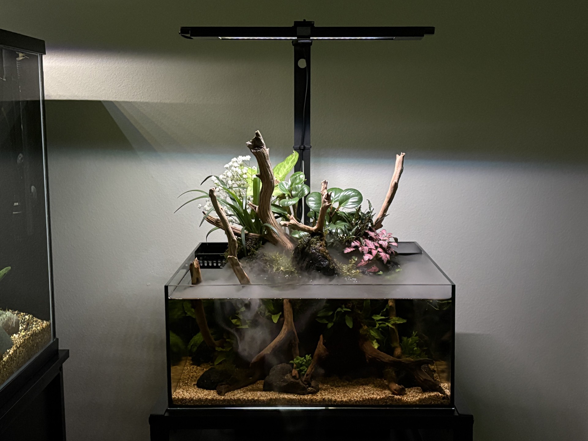Fresh Water Reef Casa Pico