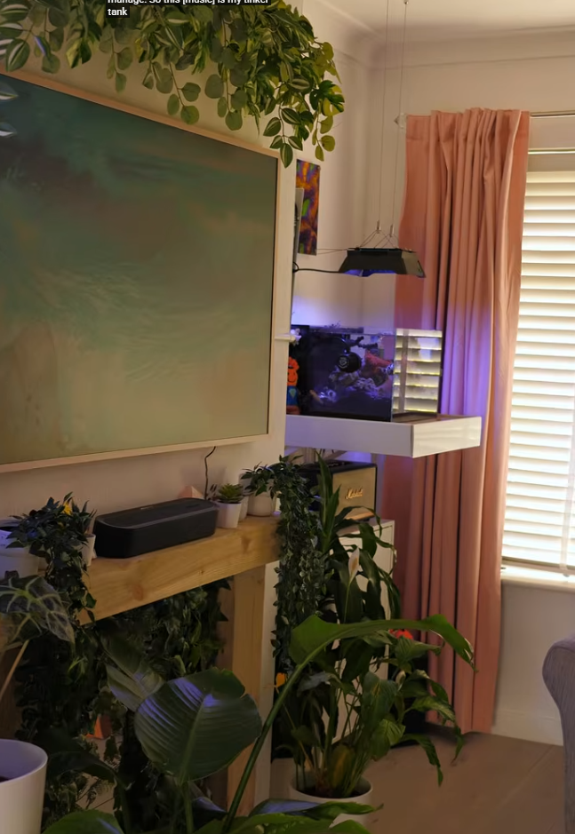 Yorkshire Reefers Reef Casa Studio