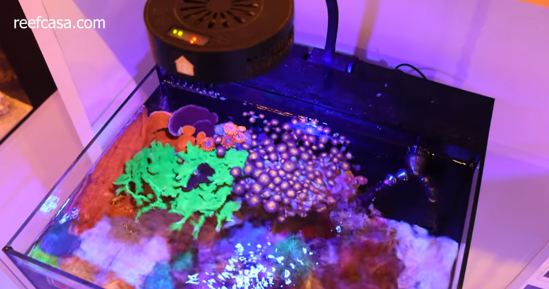 fragbox tank