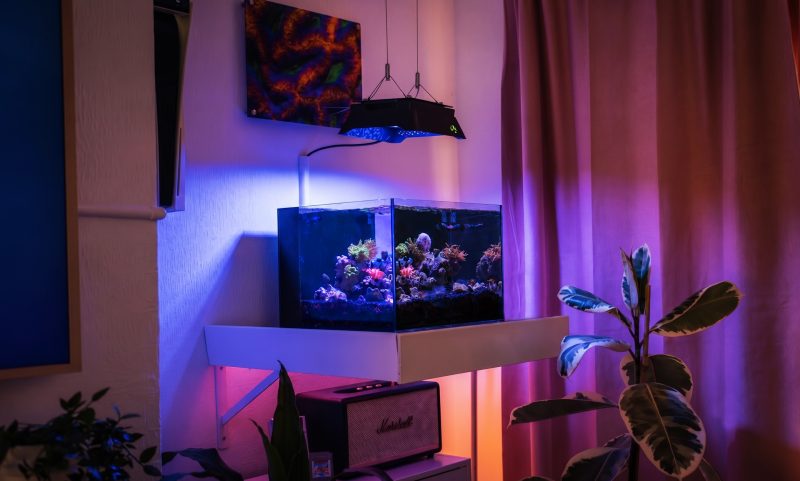 Studio 12 Nano Reef Tank Mark II