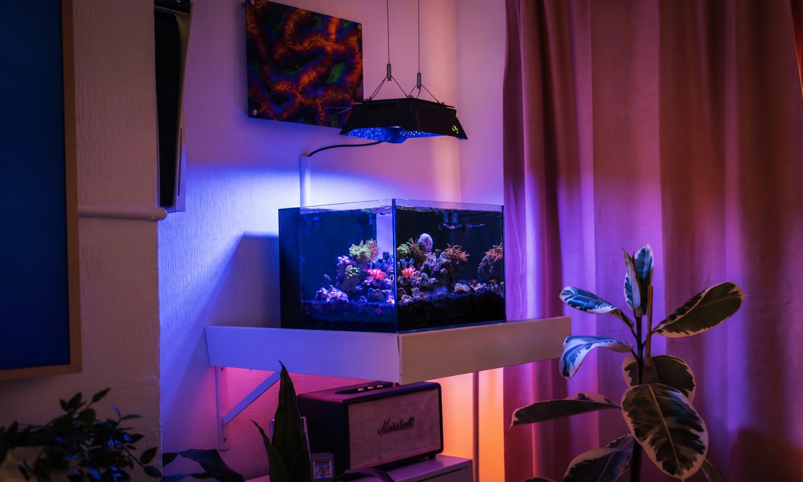 Studio 12 Nano Reef Tank Mark II