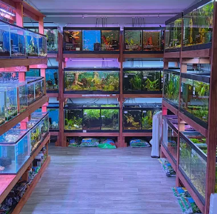 aquamania winter park florida