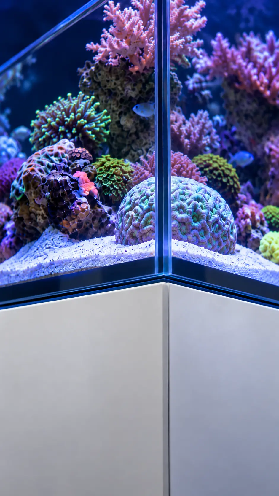 All in one reef aquarium on a self levelling mat