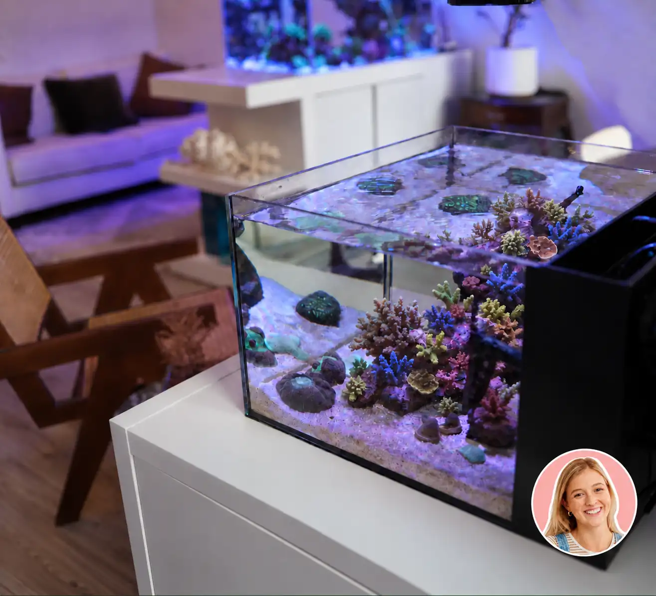 Reef Casa aquarium in a living room