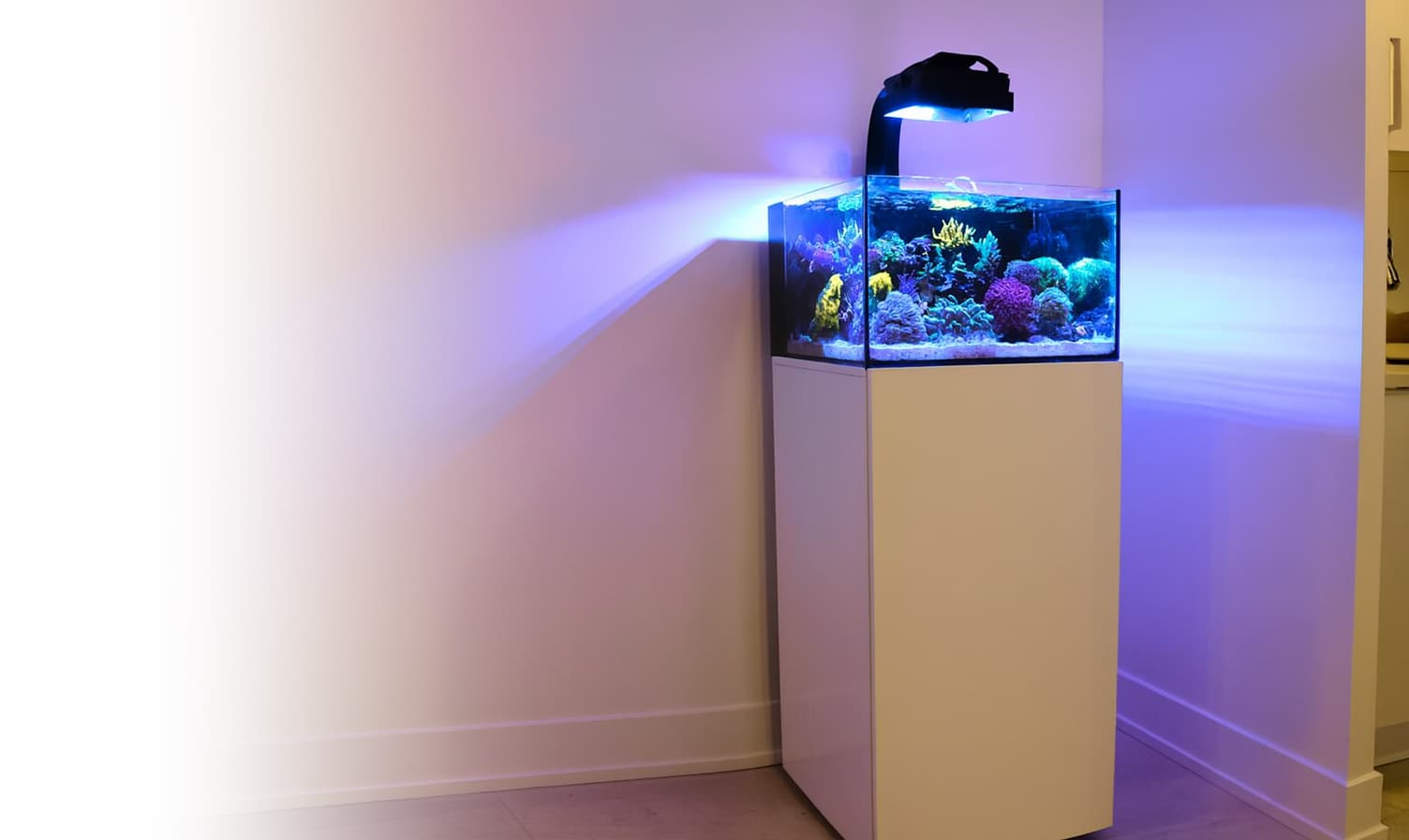 Laguna Mark III on Reef Casa cabinet